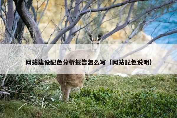 网站建设配色分析报告怎么写（网站配色说明）
