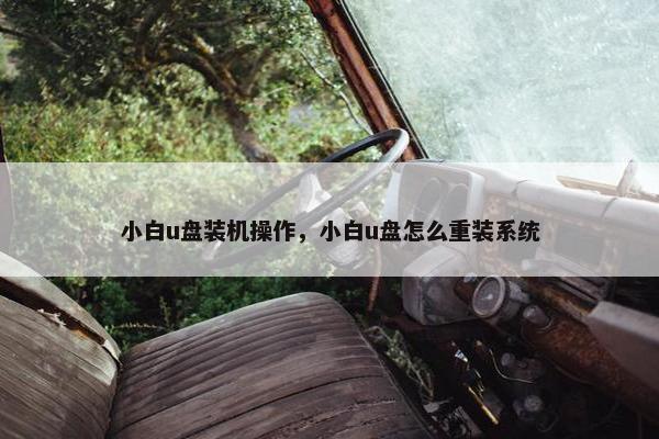 小白u盘装机操作，小白u盘怎么重装系统