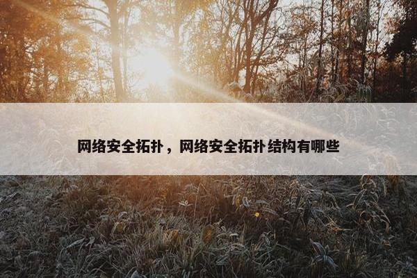 网络安全拓扑，网络安全拓扑结构有哪些