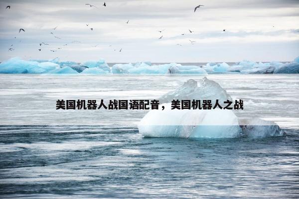 美国机器人战国语配音，美国机器人之战