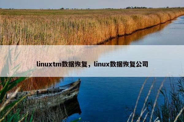 linuxtm数据恢复，linux数据恢复公司