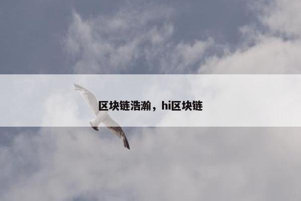 区块链浩瀚，hi区块链
