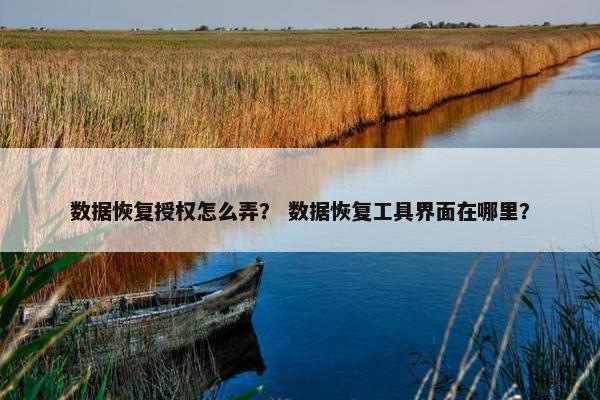 数据恢复授权怎么弄？ 数据恢复工具界面在哪里？