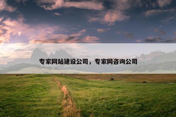 专家网站建设公司，专家网咨询公司