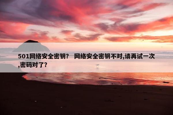 501网络安全密钥？ 网络安全密钥不对,请再试一次,密码对了？