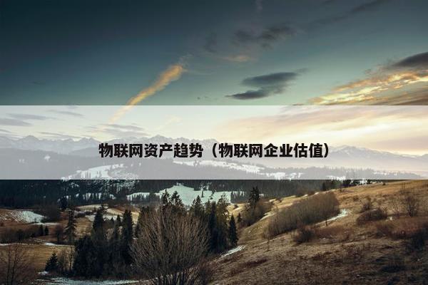 物联网资产趋势（物联网企业估值）