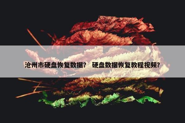 沧州市硬盘恢复数据？ 硬盘数据恢复教程视频？
