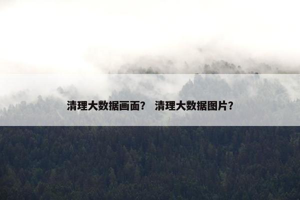 清理大数据画面？ 清理大数据图片？
