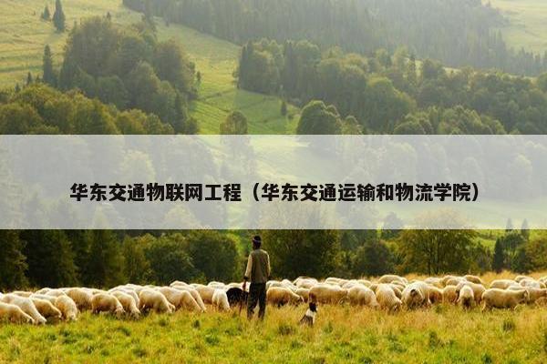 华东交通物联网工程（华东交通运输和物流学院）