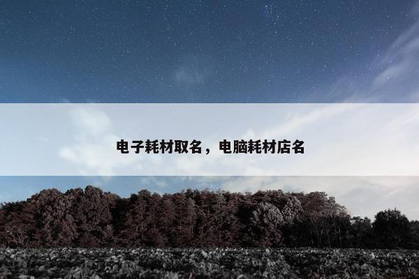 电子耗材取名，电脑耗材店名