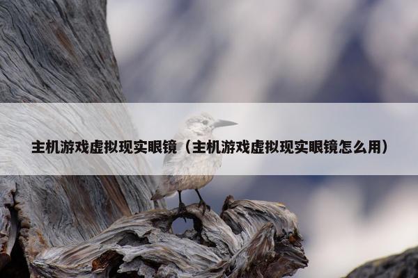 主机游戏虚拟现实眼镜（主机游戏虚拟现实眼镜怎么用）