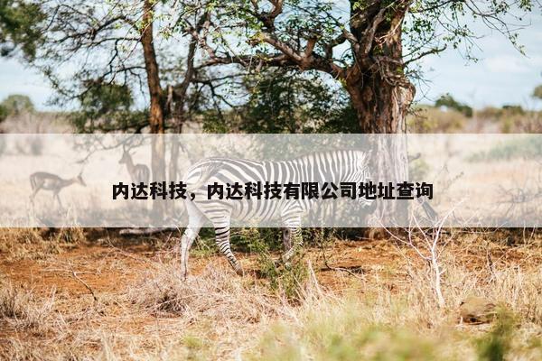 内达科技，内达科技有限公司地址查询