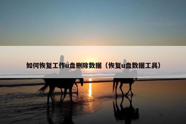 如何恢复工作u盘删除数据（恢复u盘数据工具）