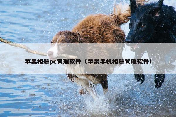苹果相册pc管理软件（苹果手机相册管理软件）