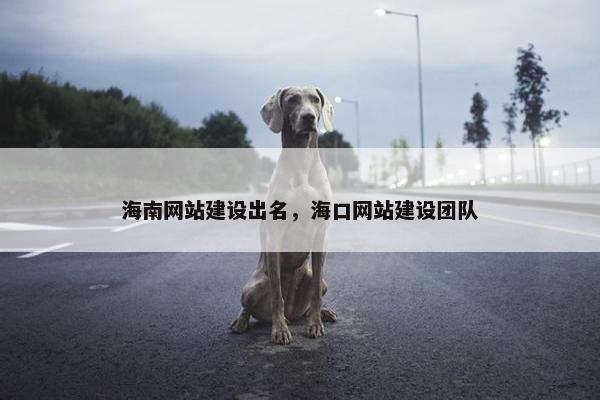 海南网站建设出名，海口网站建设团队