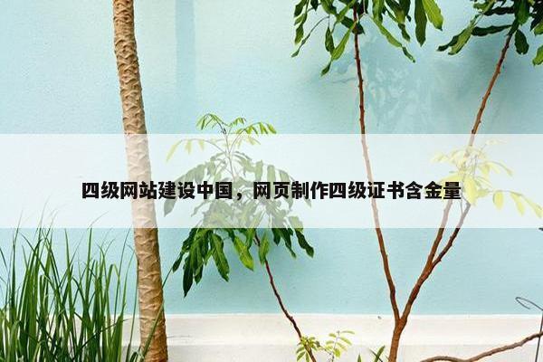四级网站建设中国，网页制作四级证书含金量