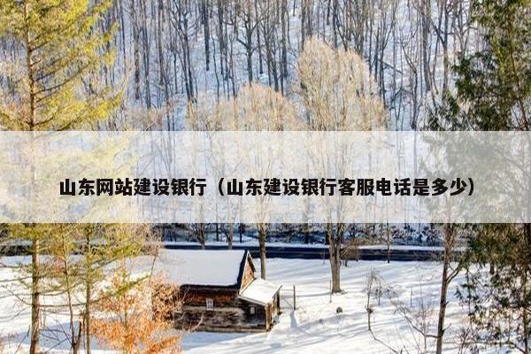 山东网站建设银行（山东建设银行客服电话是多少）