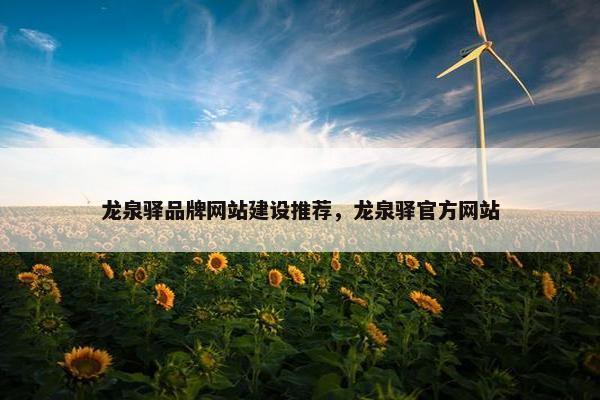 龙泉驿品牌网站建设推荐，龙泉驿官方网站