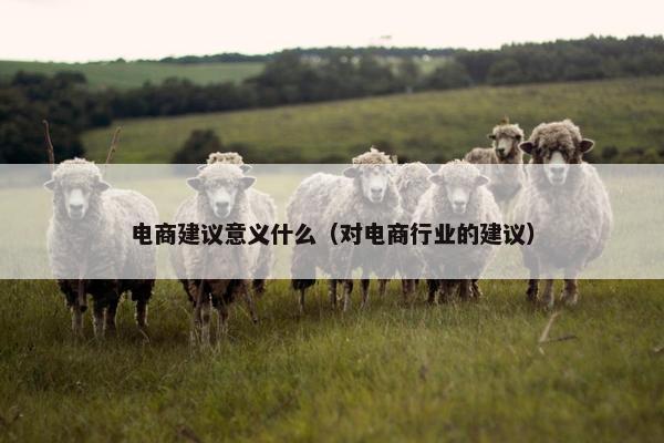电商建议意义什么（对电商行业的建议）