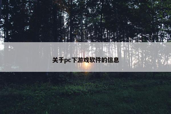 关于pc下游戏软件的信息