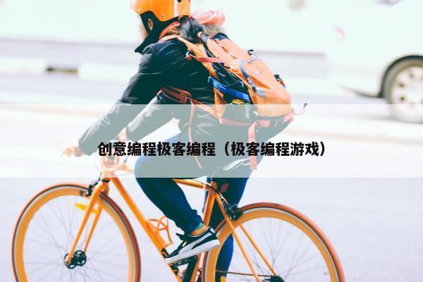 创意编程极客编程（极客编程游戏）