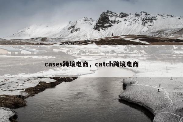 cases跨境电商，catch跨境电商