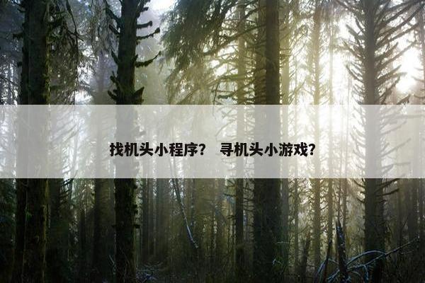 找机头小程序？ 寻机头小游戏？