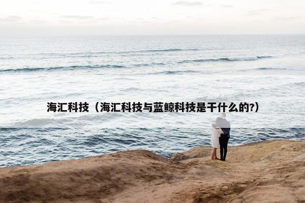 海汇科技（海汇科技与蓝鲸科技是干什么的?）