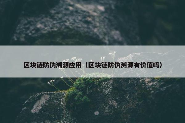 区块链防伪溯源应用（区块链防伪溯源有价值吗）
