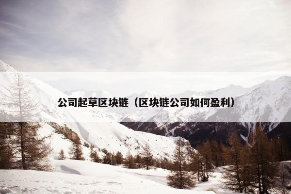 公司起草区块链（区块链公司如何盈利）