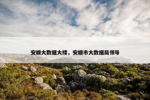 安顺大数据大楼，安顺市大数据局领导