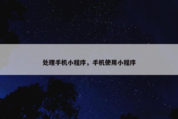 处理手机小程序，手机使用小程序