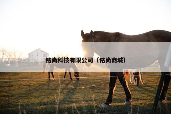 铭尚科技有限公司（铭尚商城）