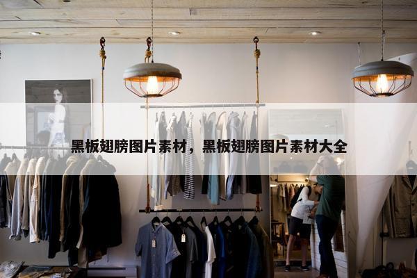 黑板翅膀图片素材，黑板翅膀图片素材大全