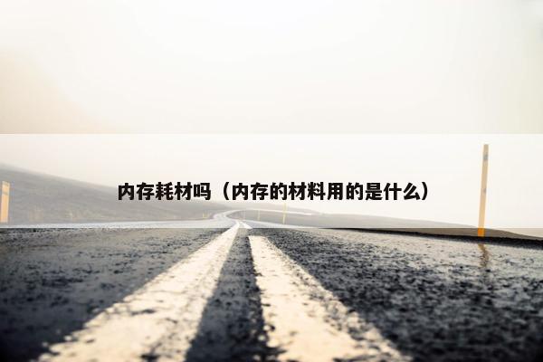 内存耗材吗（内存的材料用的是什么）