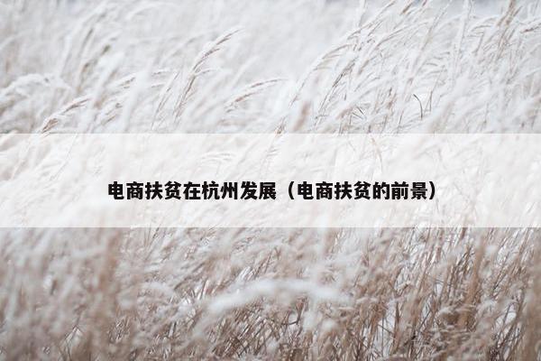 电商扶贫在杭州发展（电商扶贫的前景）