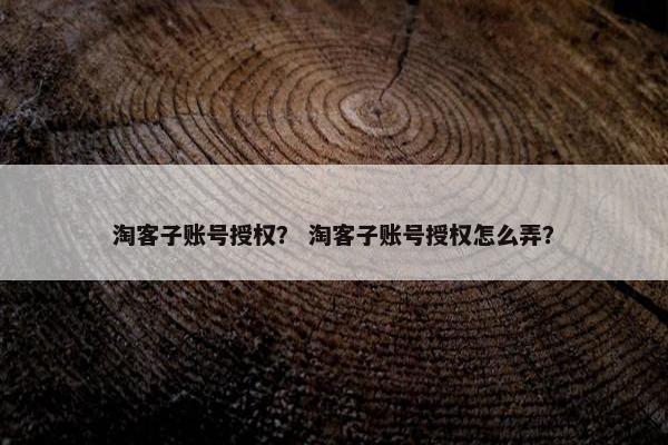 淘客子账号授权？ 淘客子账号授权怎么弄？