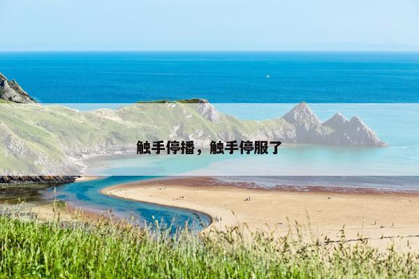 触手停播，触手停服了