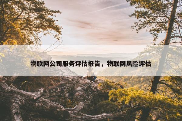 物联网公司服务评估报告，物联网风险评估