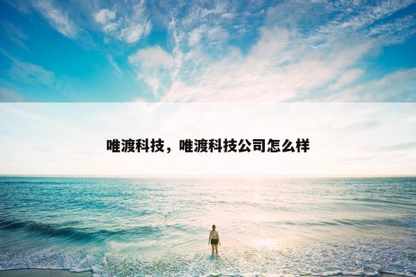 唯渡科技，唯渡科技公司怎么样