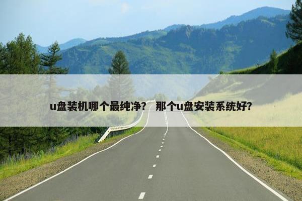 u盘装机哪个最纯净？ 那个u盘安装系统好？