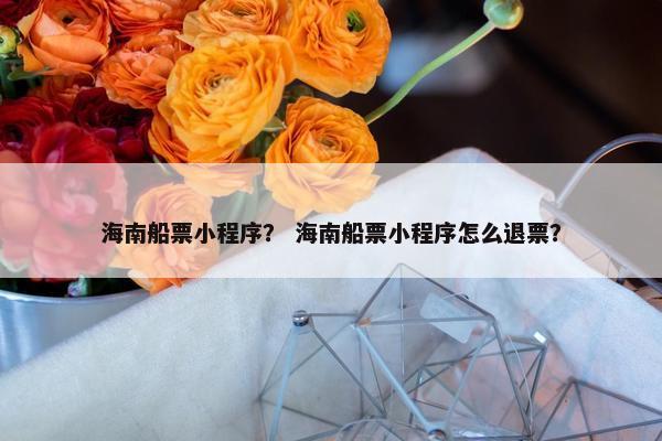 海南船票小程序？ 海南船票小程序怎么退票？