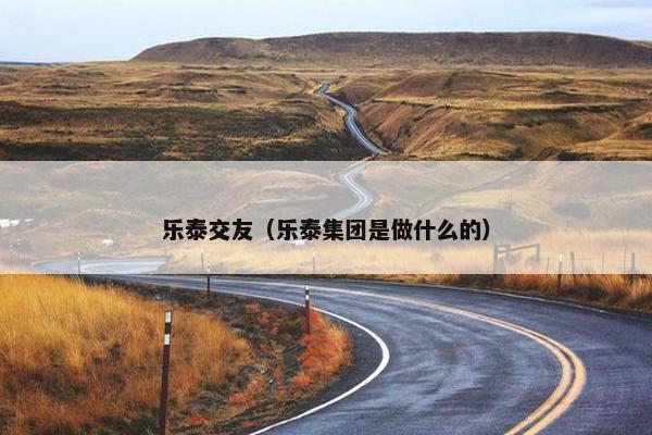 乐泰交友（乐泰集团是做什么的）