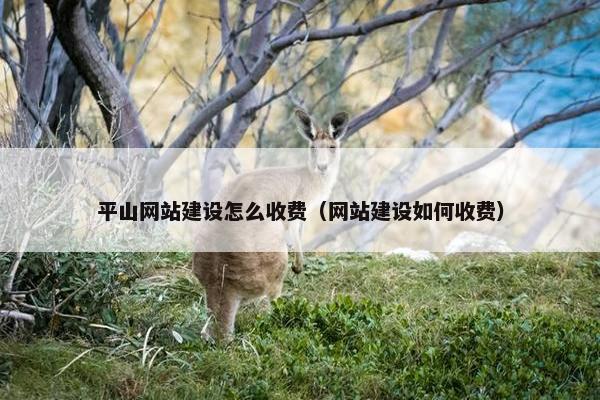 平山网站建设怎么收费（网站建设如何收费）