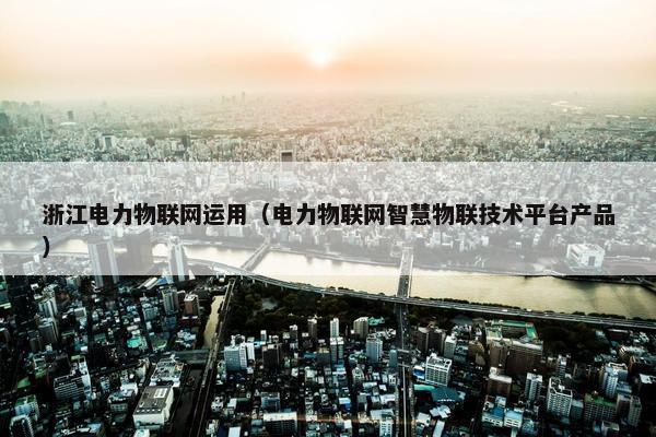浙江电力物联网运用（电力物联网智慧物联技术平台产品）