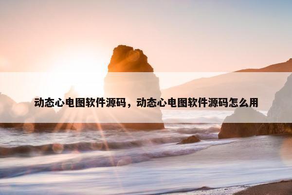 动态心电图软件源码，动态心电图软件源码怎么用
