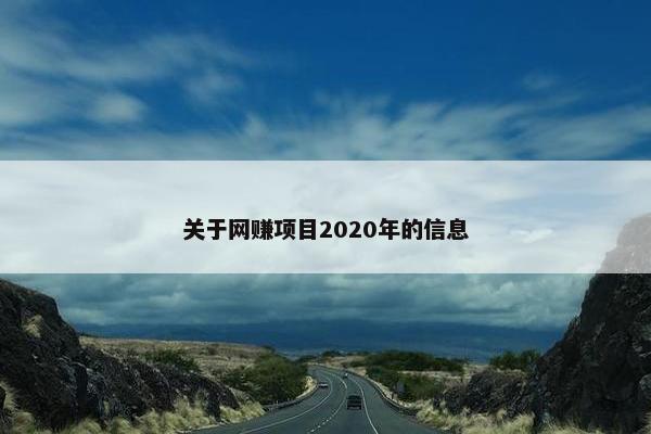 关于网赚项目2020年的信息
