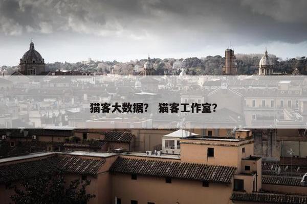 猫客大数据？ 猫客工作室？