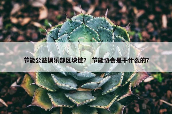 节能公益俱乐部区块链？ 节能协会是干什么的？
