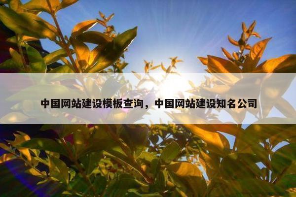 中国网站建设模板查询，中国网站建设知名公司